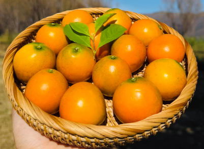 ��һ�µ������ʡ������ڰ����۽��